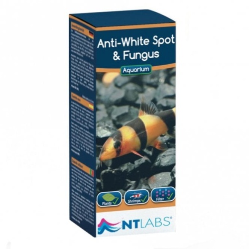 NTLabs Anti White Spot and Fungus 250ml